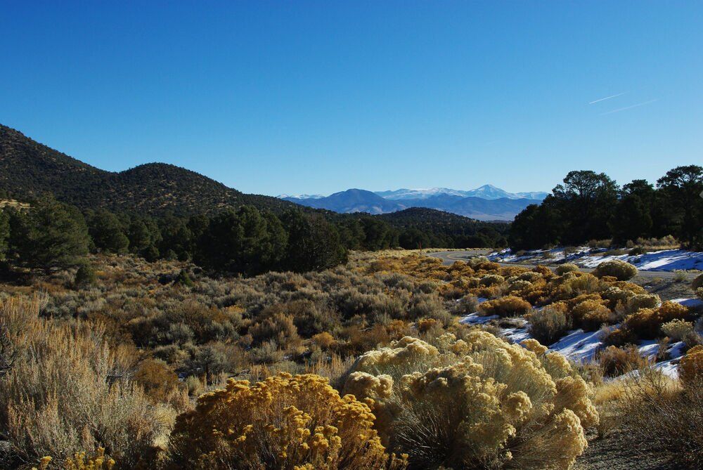 8. Humboldt-Toiyabe National Forest